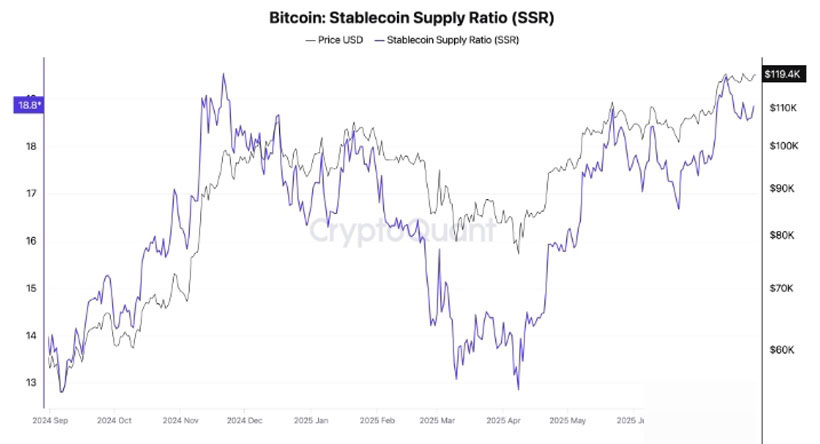 超级周来袭 未来三天数据将决定加密市场下半年走势?
