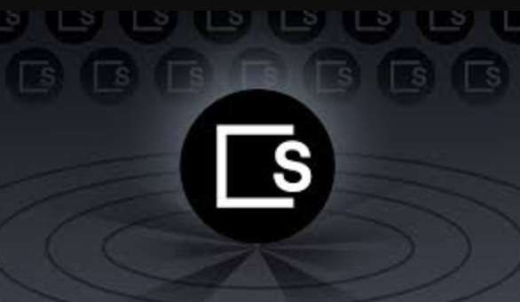 SKALE (SKL) 币是什么?怎么买?SKL特点、未来展望及价格预测