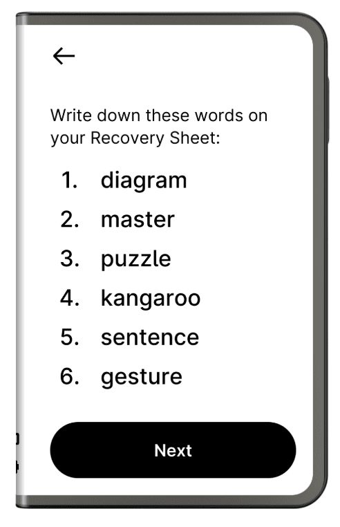 什么是Ledger Stax 钱包?功能有哪些?使用步骤教学