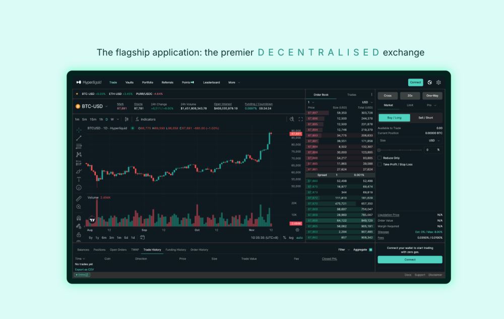 什么是Hyperliquid (HYPE)币?未来前景如何?HYPE币2025, 2026-2030年价格预测