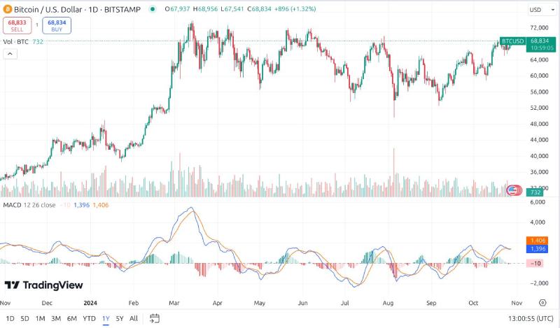 加密货币的牛市与熊市是什么?如何生存并获利?2025新手指南