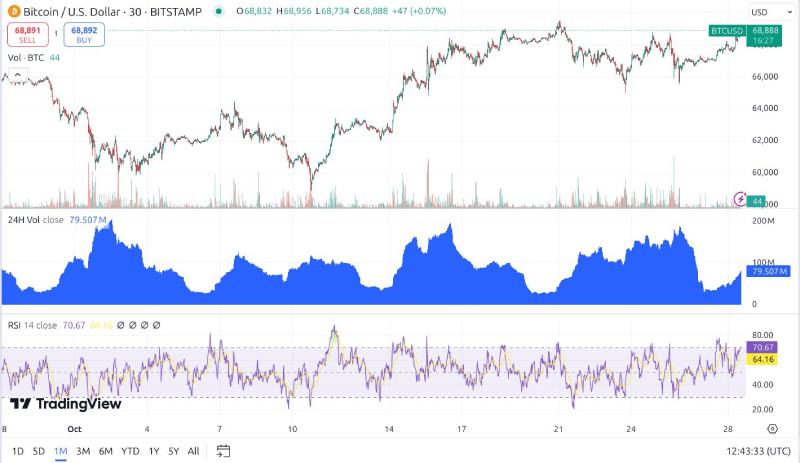加密货币的牛市与熊市是什么?如何生存并获利?2025新手指南