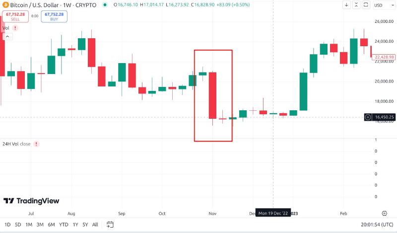 加密货币的牛市与熊市是什么?如何生存并获利?2025新手指南