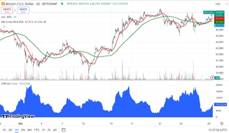 加密货币的牛市与熊市是什么?如何生存并获利?2025新手指南