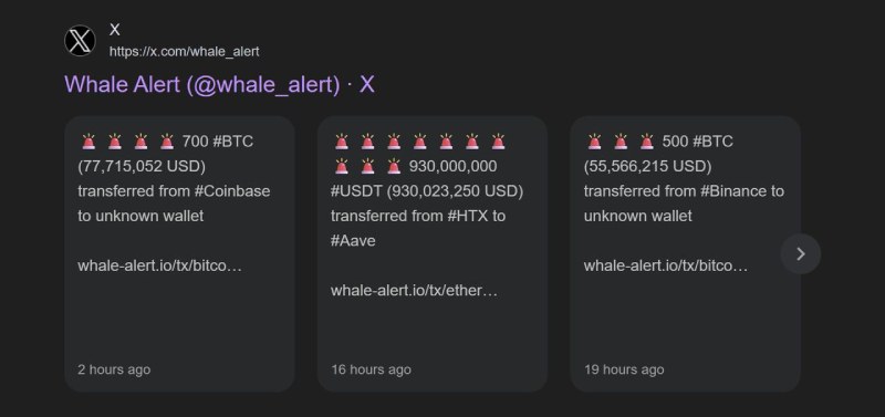 加密货币巨鲸是什么?如何利用巨鲸警报追踪加密货币市场大额动向