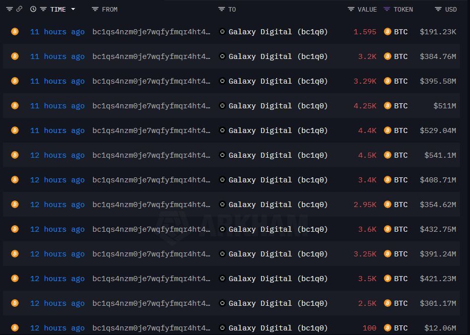 加密货币巨鲸是什么?如何利用巨鲸警报追踪加密货币市场大额动向