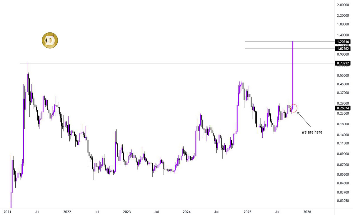 一文详细了解上次该指标亮起绿色时,狗狗币(DOGE)价格上涨了445%