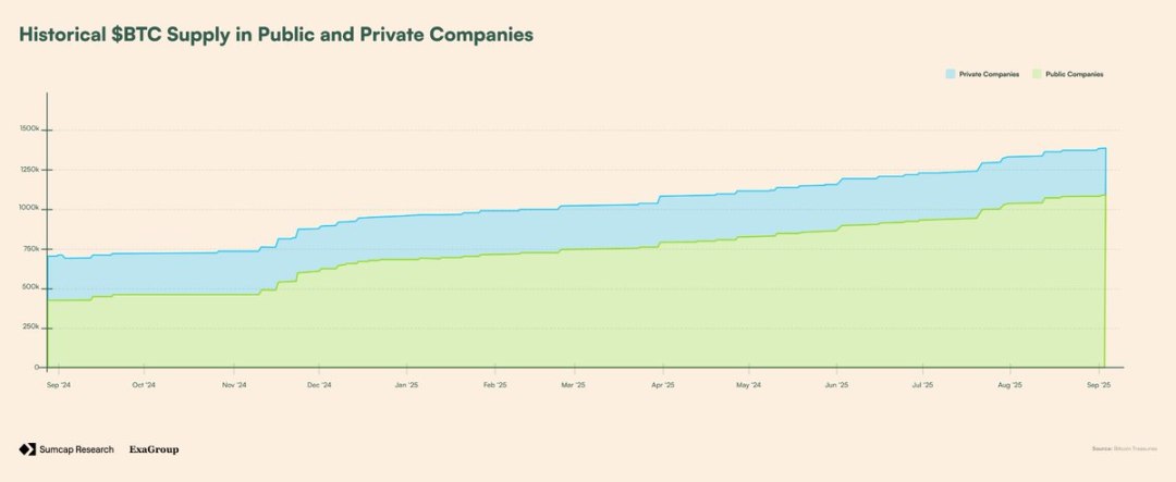 Plasma深度解析:Plasma架构是什么?凭何改变链上支付格局?
