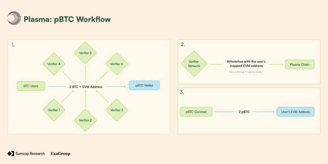 Plasma深度解析:Plasma架构是什么?凭何改变链上支付格局?