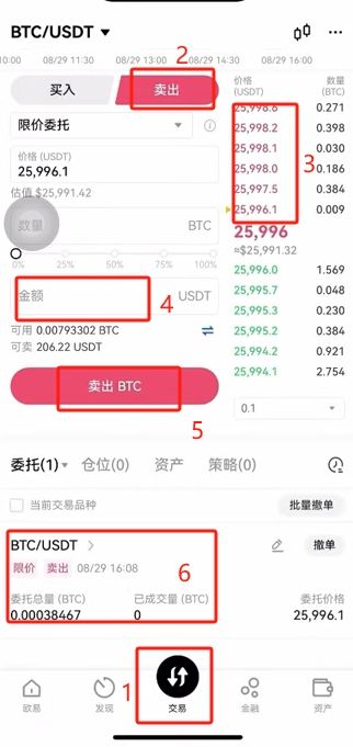 欧易在中国国内怎么使用?欧易注册、APP下载安装、身份认证、入金全教程