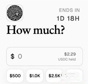 MetaDAO是什么?该如何参与公募?MetaDAO背景、发行机制及参与教程