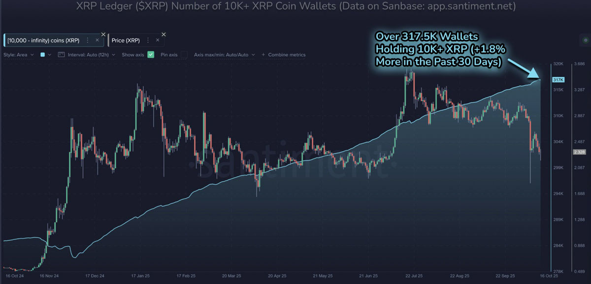 一文详细了解瑞波币(XRP)价格目标指向3美元,巨鲸地址数量创历史新高