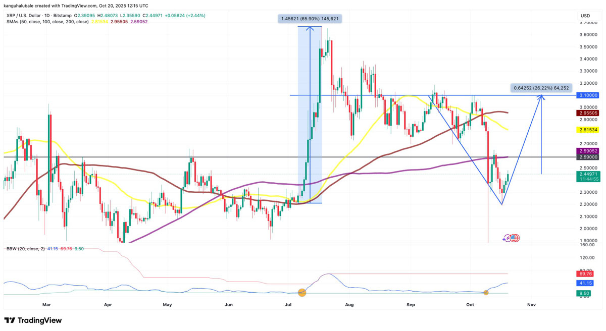 一文详细了解瑞波币(XRP)价格目标指向3美元,巨鲸地址数量创历史新高