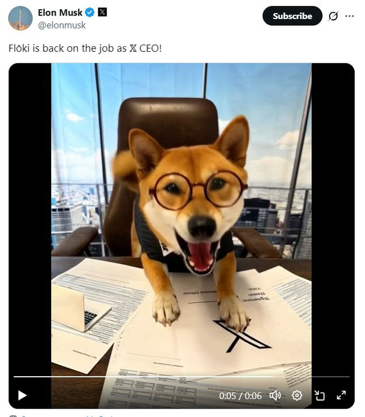 马斯克在X上发布宠物狗Floki照片,模因币暴涨29%详细了解