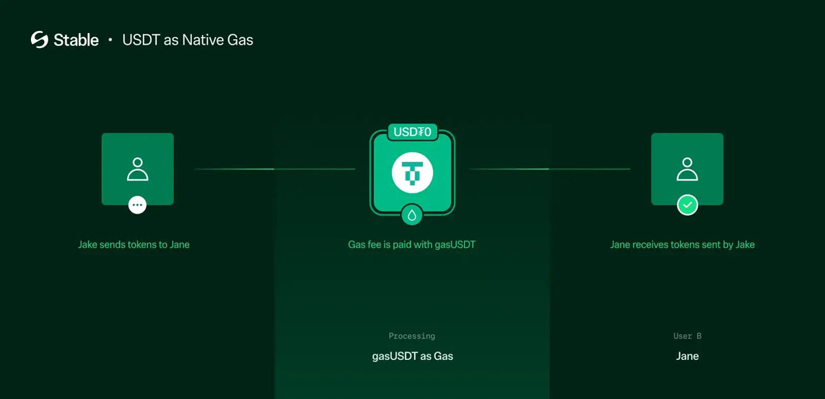 稳定币公链深度分析:下一代加密支付网络的竞争与机遇